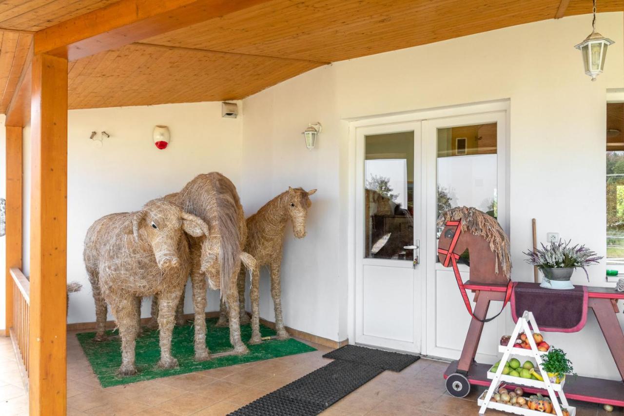 Farma Slunecny Dvur Apartmany A Family Stany Strecha Pod Strechou Hermanuv Mestec Exterior photo